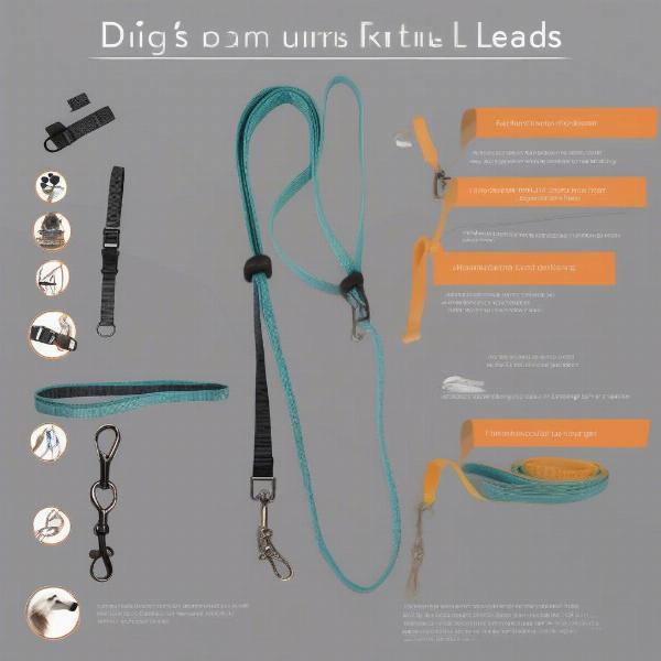 Standard, Retractable, and Training Dog Leads