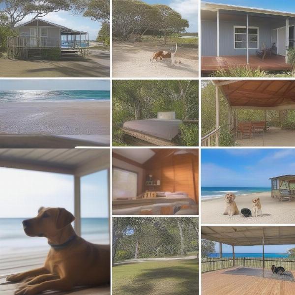 Dog-friendly accommodation options on Stradbroke Island showcasing beachfront houses, cabins with enclosed yards, and pet-friendly amenities like dog beds and bowls.