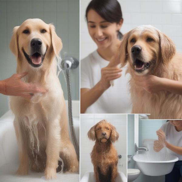 Stress-Free Dog Bath