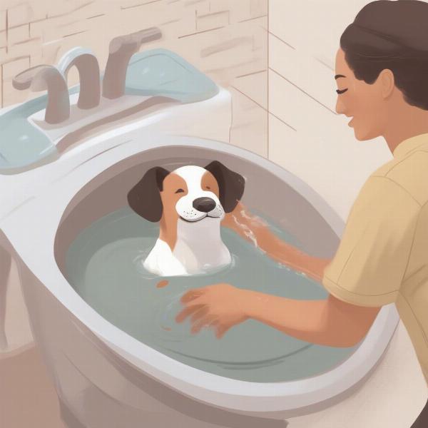 Stress-Free Dog Bath with a Portable Washer