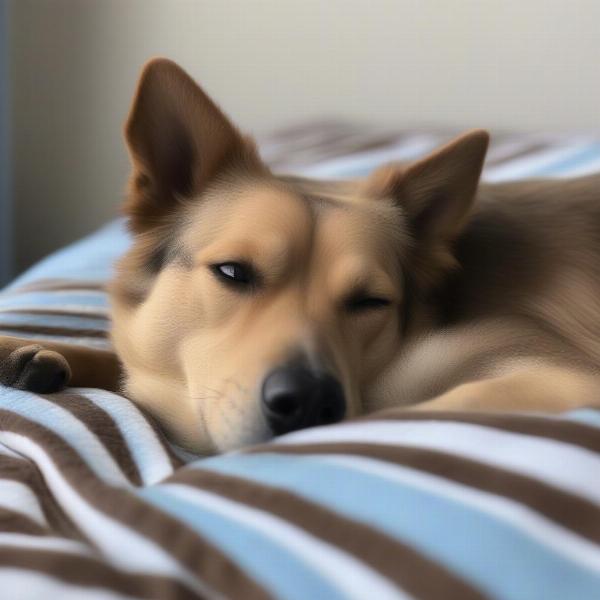 Dog sleeping soundly in a cozy striped dog bed