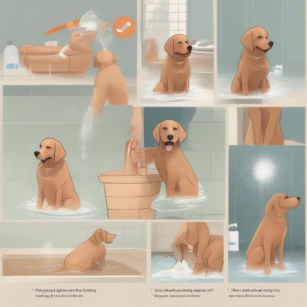 Bathing Your Dog Properly