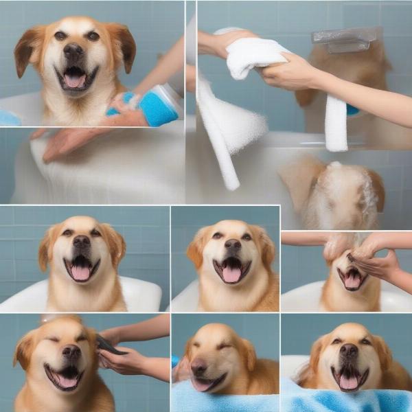 Bathing Your Dog the Right Way