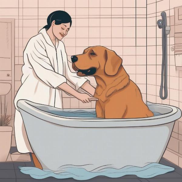 Bathing a large dog at home