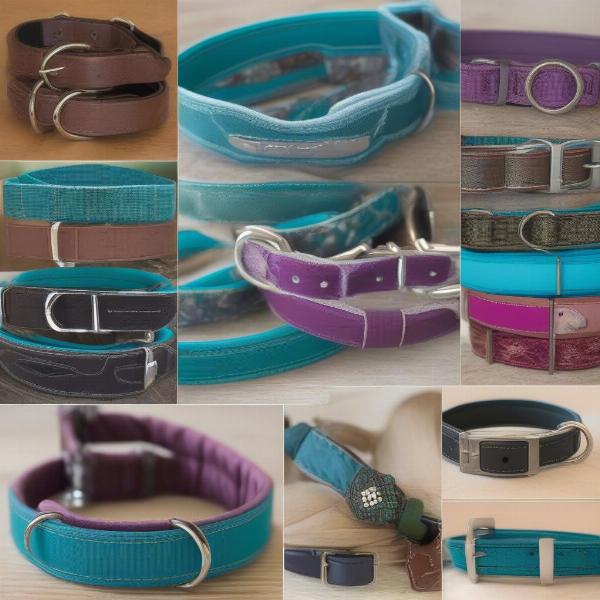 Different Styles of Teal Dog Collars