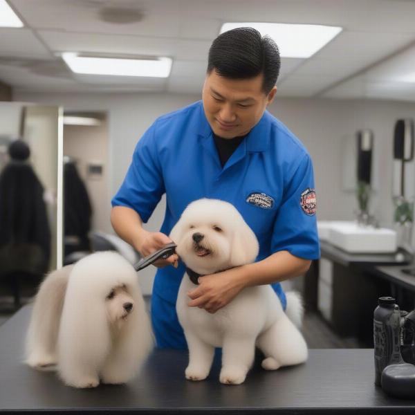 Dog Grooming Expert, Tim Khai