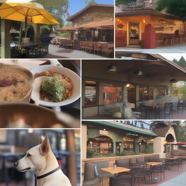 Top dog-friendly restaurants in Los Gatos