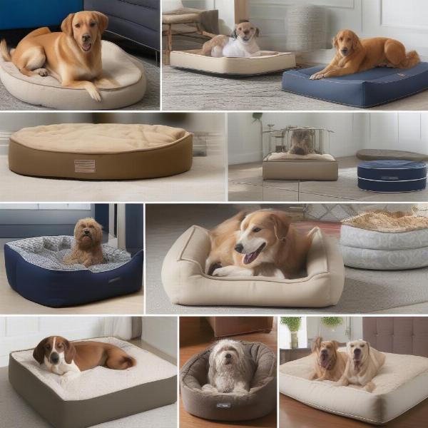 Different Types of US-Made Dog Beds