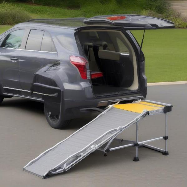 Different types of dog car ramps: telescoping, folding, and fixed.