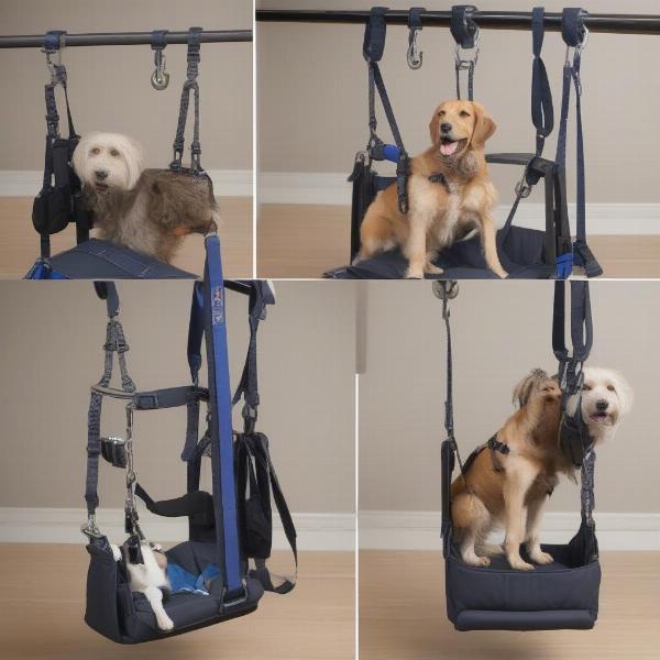 Types of Dog Hoists