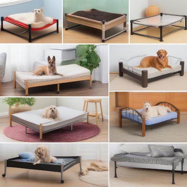 Different Types of Raised Dog Beds