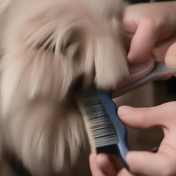 Understanding Your Dog's Grooming Needs in Leicestershire