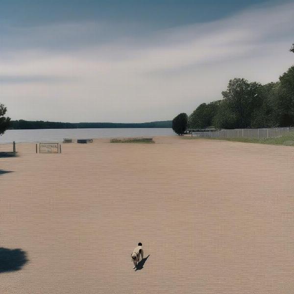 Parking at Union Reservoir Dog Beach