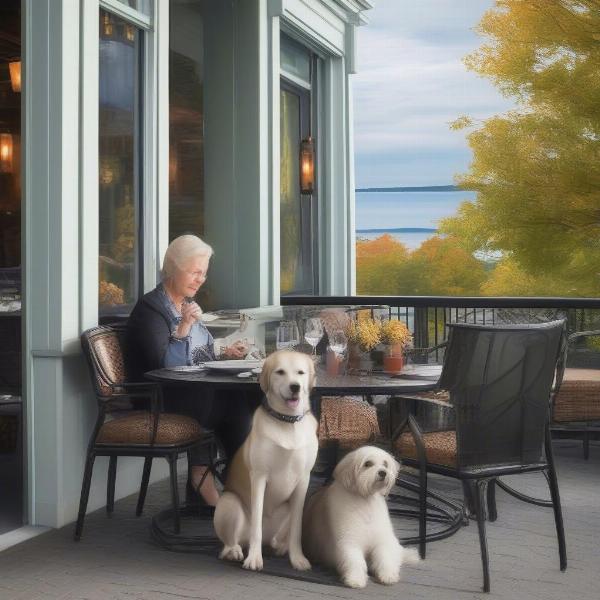 Upscale Dog-Friendly Restaurants in Bar Harbor