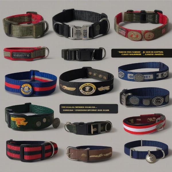 Different Types of US Marines Dog Collars