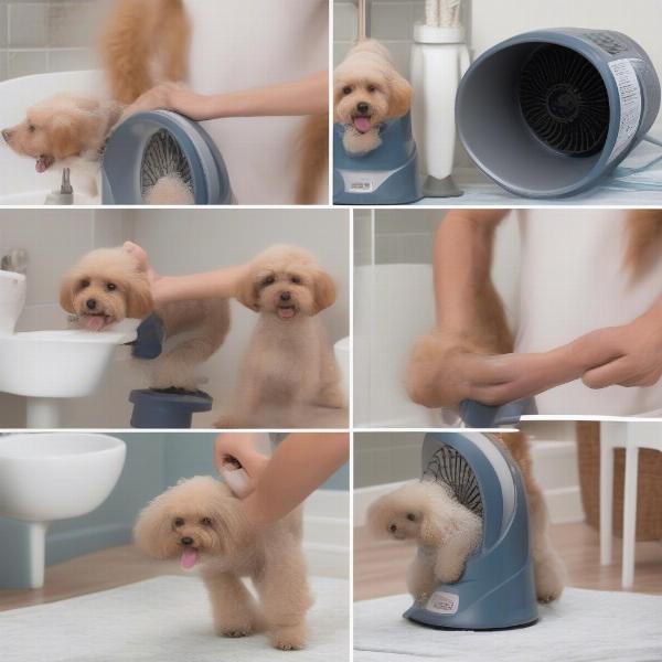 Using a dog hair blower dryer safely