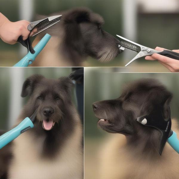 Step-by-Step Guide to Using Thinning Shears on a Dog