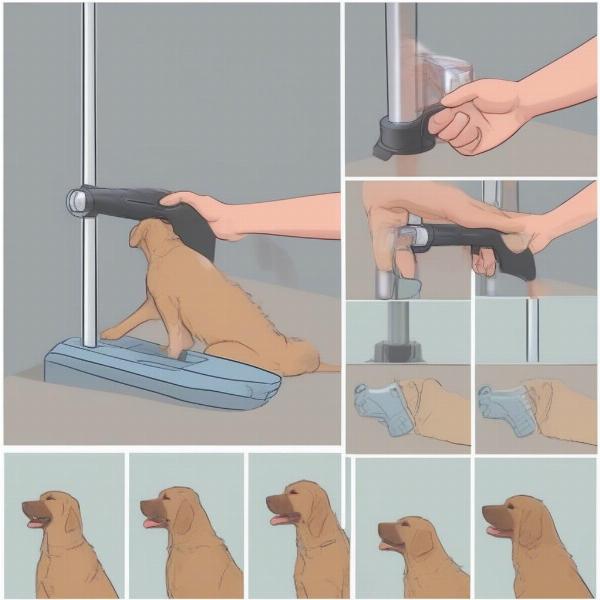 Using a Dog Pill Gun Correctly