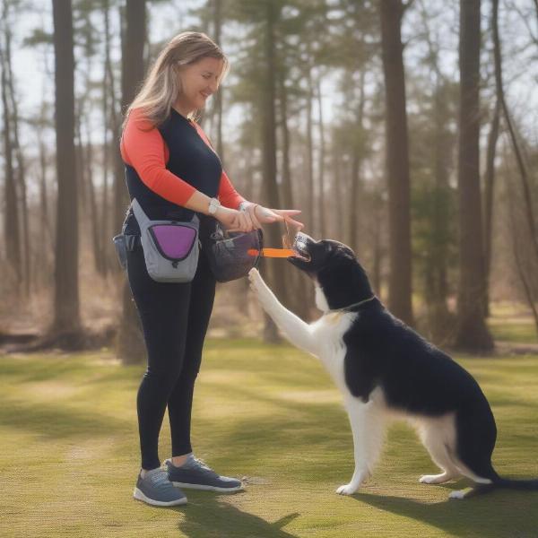 Effective Use of a Dog Training Fanny Pack