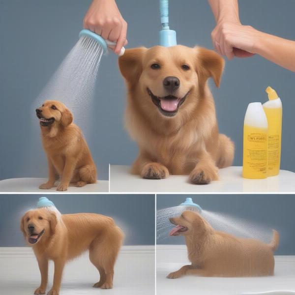 Using a Portable Dog Shower