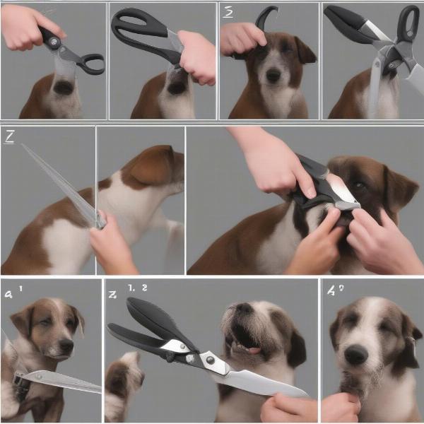 Using Roc It Dog Shears Safely