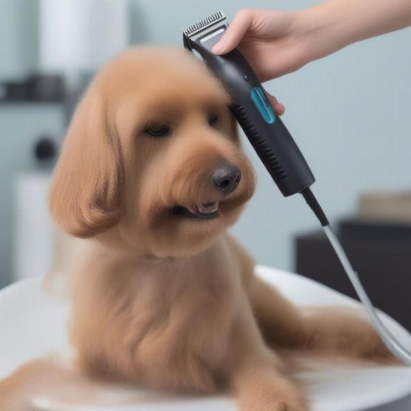 Dog being groomed with vacuum hair clippers