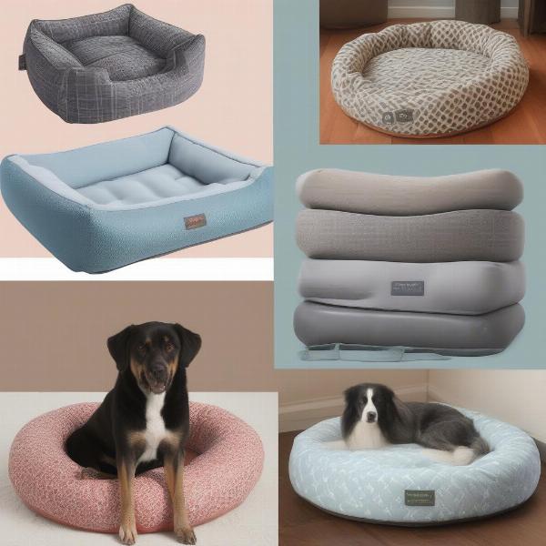 Different styles of dog beds suitable for Labradors