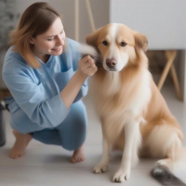 Dog Grooming and Hygiene