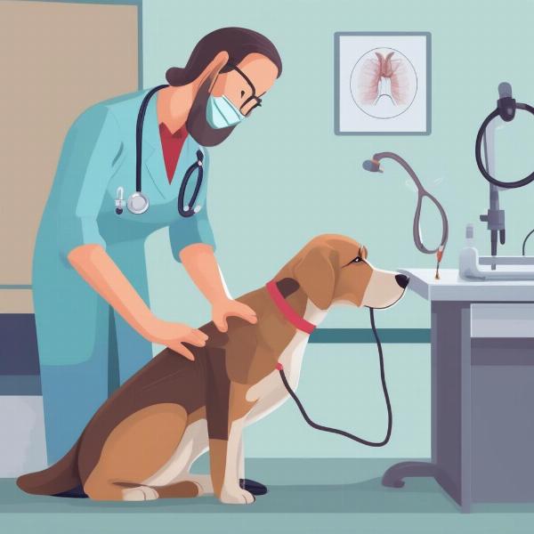 Veterinarian examining a dog