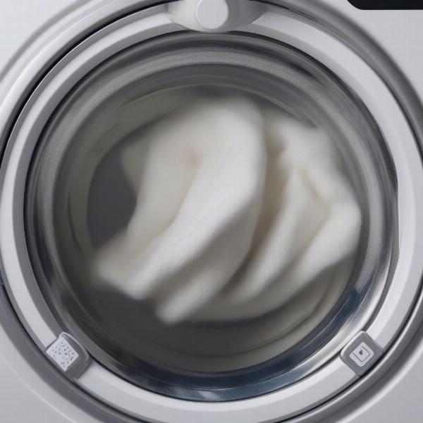 Vet Bed Being Washed in Washing Machine