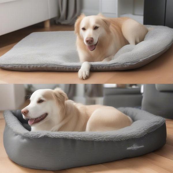 Benefits of a Waterproof Dog Bed