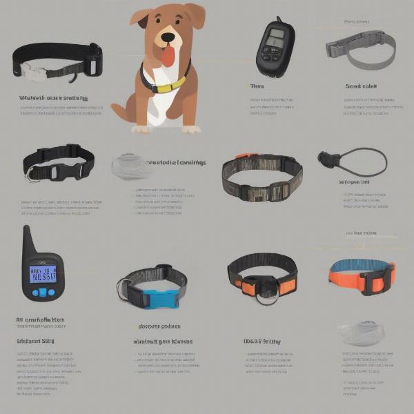 Different Types of Waterproof Dog Training Collars