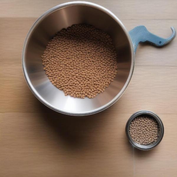 Wet vs. Dry Dog Food