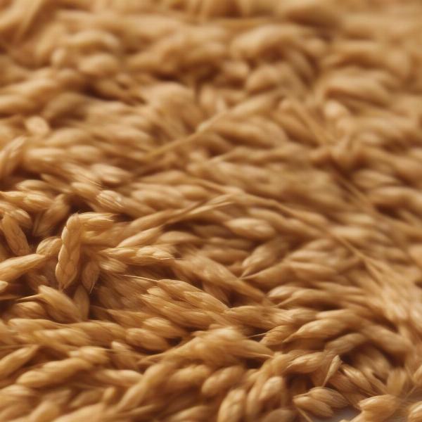 Close-up of wheat germ