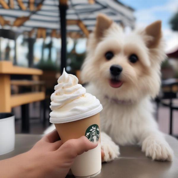 Dog enjoying a puppuccino