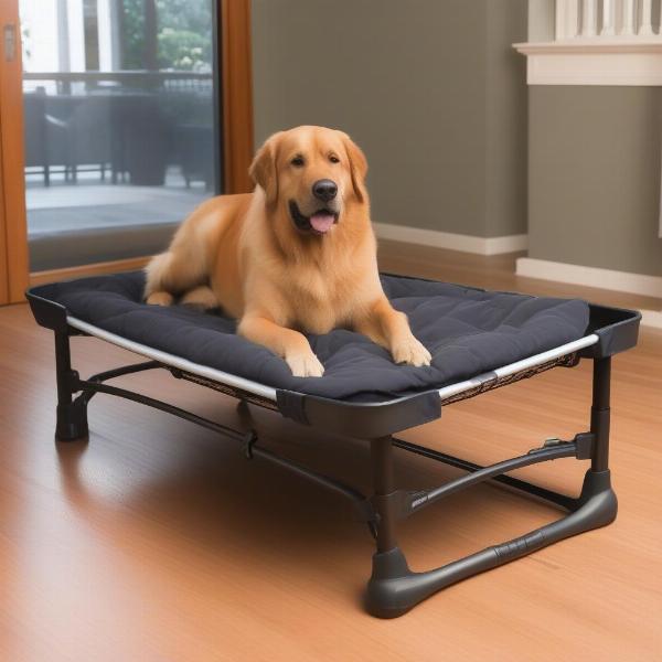 Benefits of an XL Dog Cot