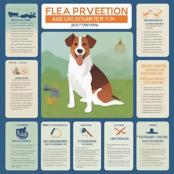 Year-round flea and tick protection for dogs