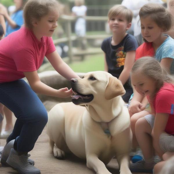 Zoo dog interacting with children