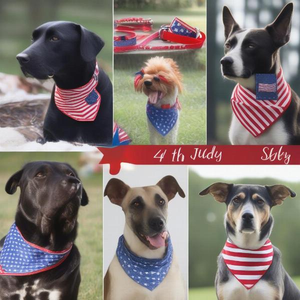 Different Styles of 4th of July Dog Collars