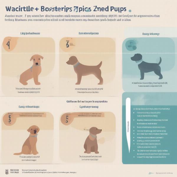 7-Way Vaccine Schedule for Puppies