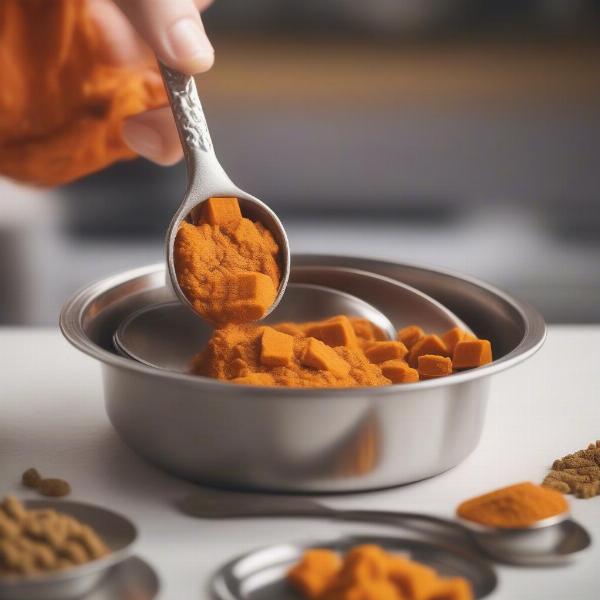 Adding pumpkin to dog food