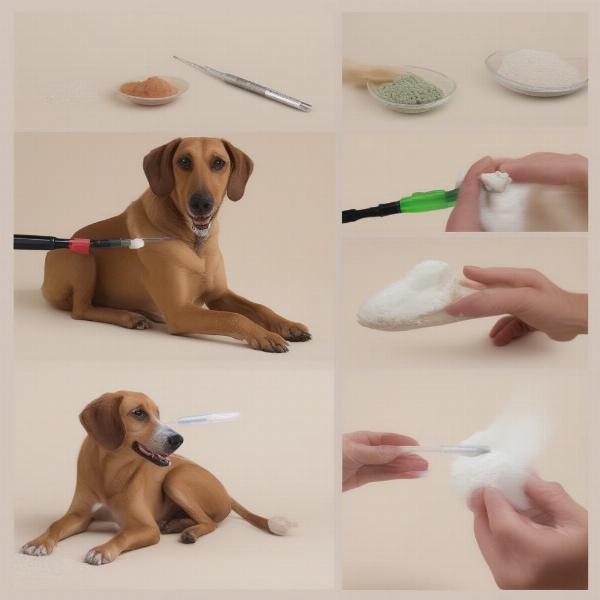 Administering kaolin to a dog