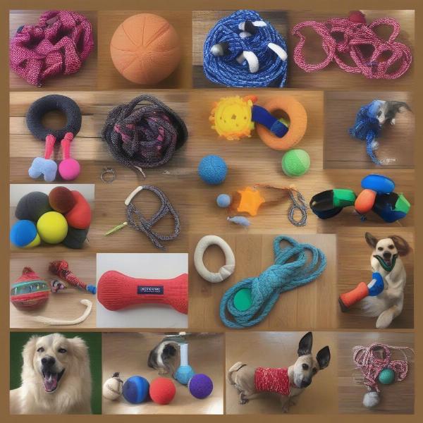 Different types of dog toys