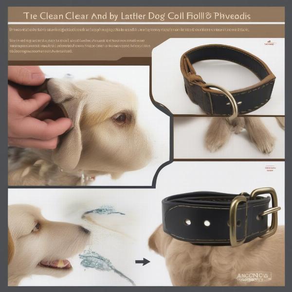 Cleaning and Maintaining Your Ancol Dog Collar