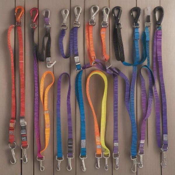 Various Ancol Dog Leads