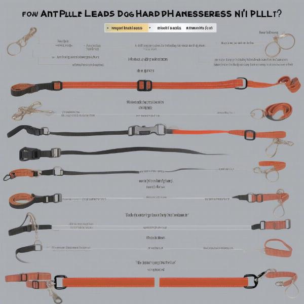 Different types of anti-pull dog leads