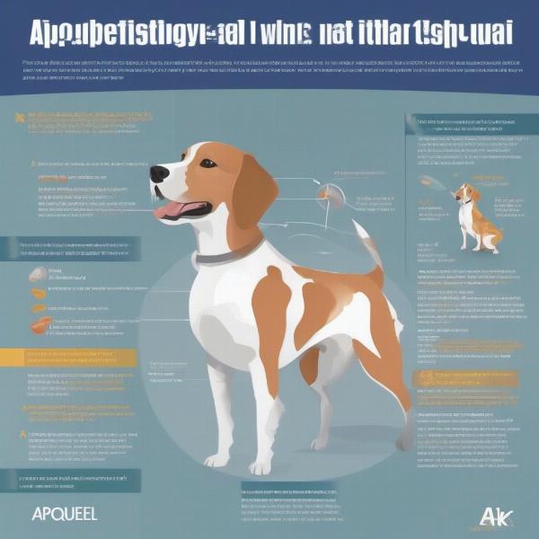 Apoquel Mechanism of Action