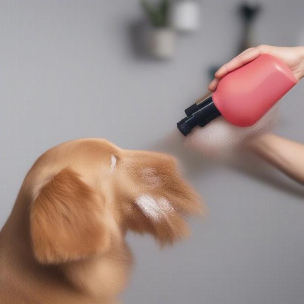 Applying Dog Hair Detangler Spray Correctly