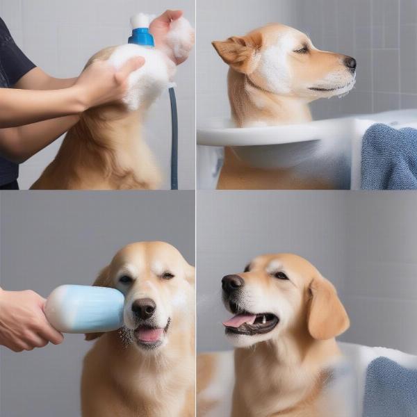 Step-by-step guide on applying dog skin conditioner