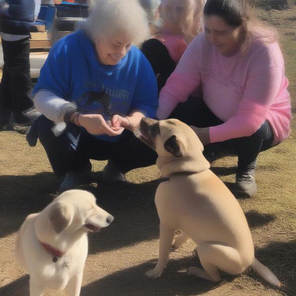 Arundawn volunteers caring for rescued dogs